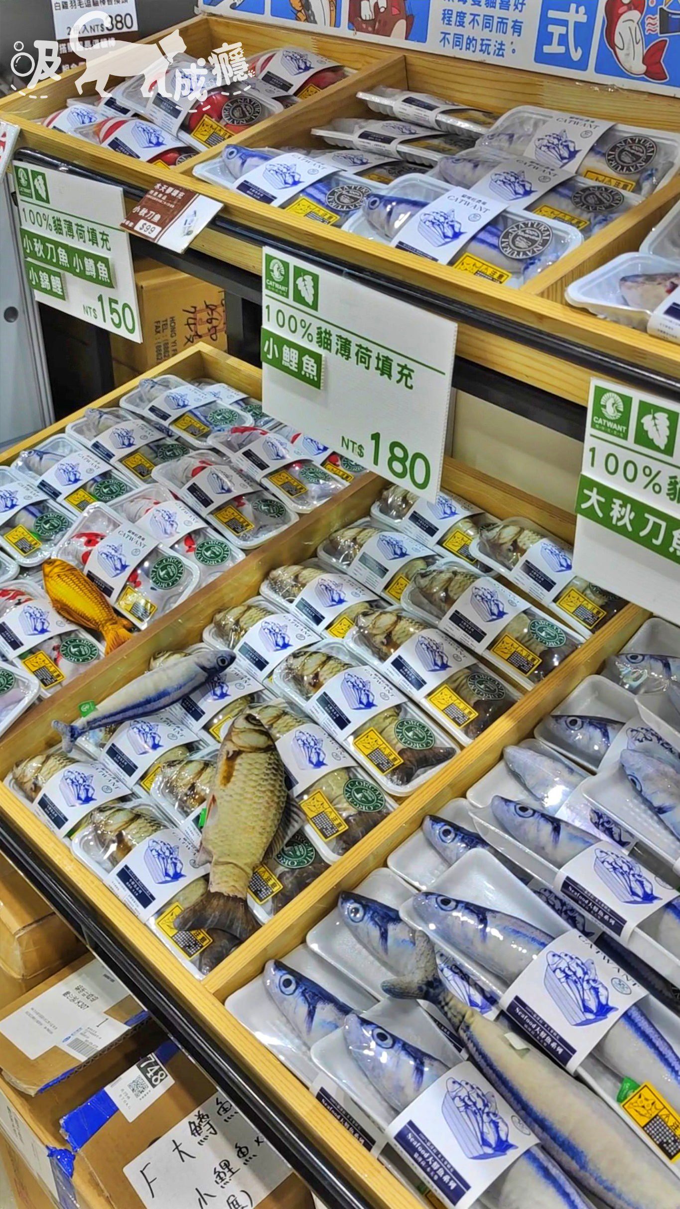 貓咪旺農場|貓咪玩具-貓壽司開箱,超濃貓草包、木天蓼玩具,未開封貓貓先暴動 - 第3張圖