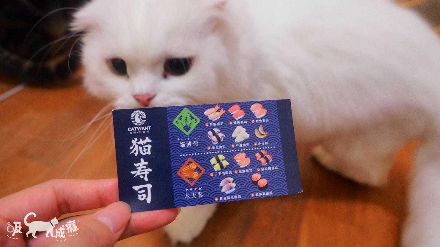 貓咪旺農場|貓咪玩具-貓壽司開箱,超濃貓草包、木天蓼玩具,未開封貓貓先暴動 - 第5張圖