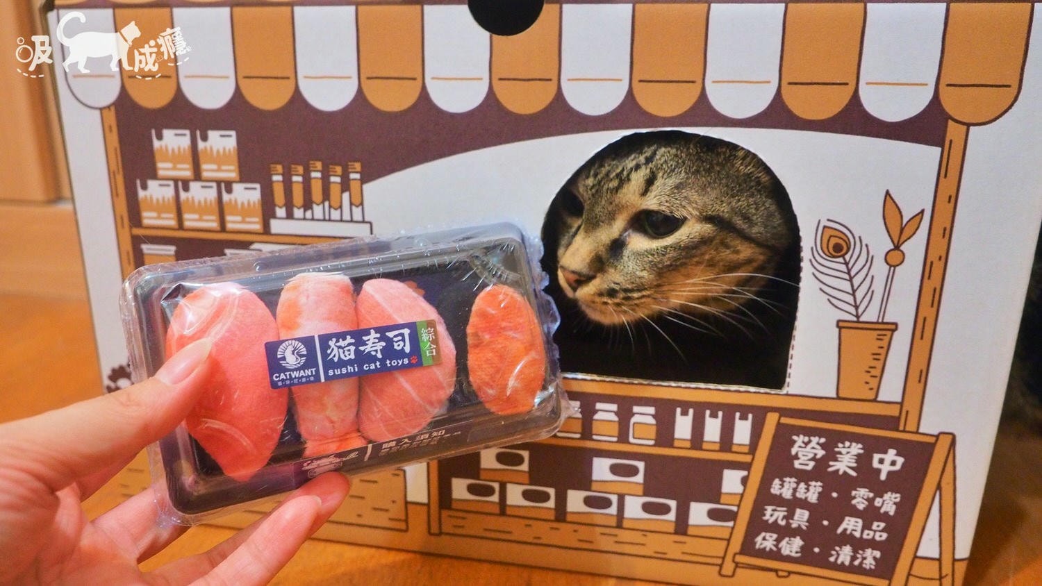 貓咪旺農場|貓咪玩具-貓壽司開箱,超濃貓草包、木天蓼玩具,未開封貓貓先暴動 - 第4張圖