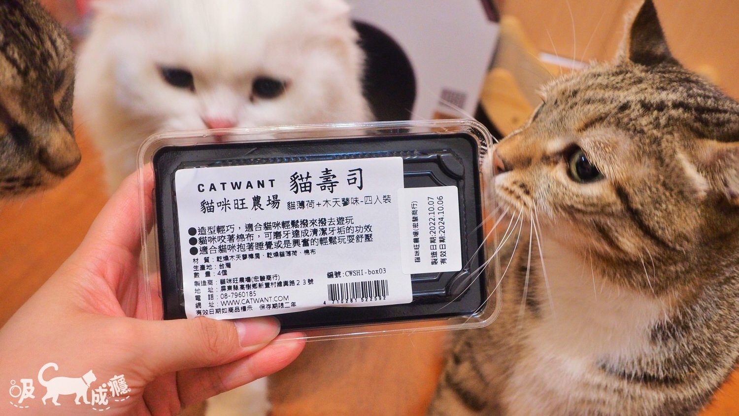 貓咪旺農場|貓咪玩具-貓壽司開箱,超濃貓草包、木天蓼玩具,未開封貓貓先暴動 - 第8張圖