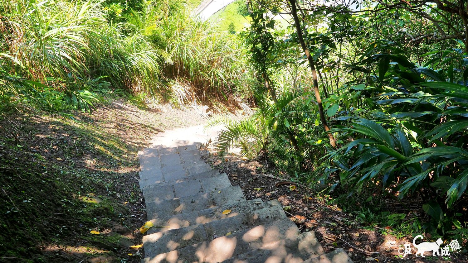 大鼻石山步道22